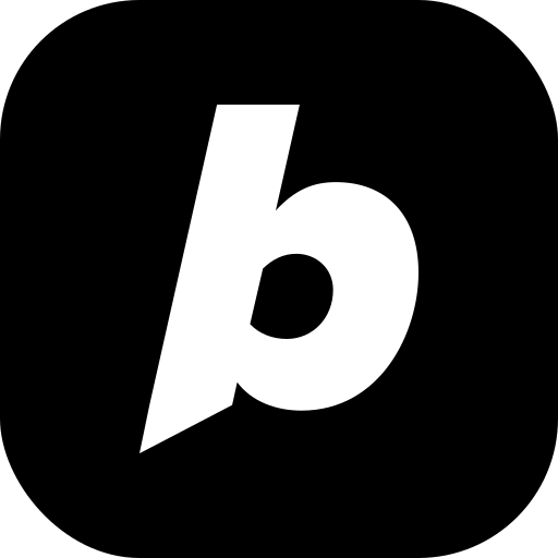 Bolt Pro 1 Year logo